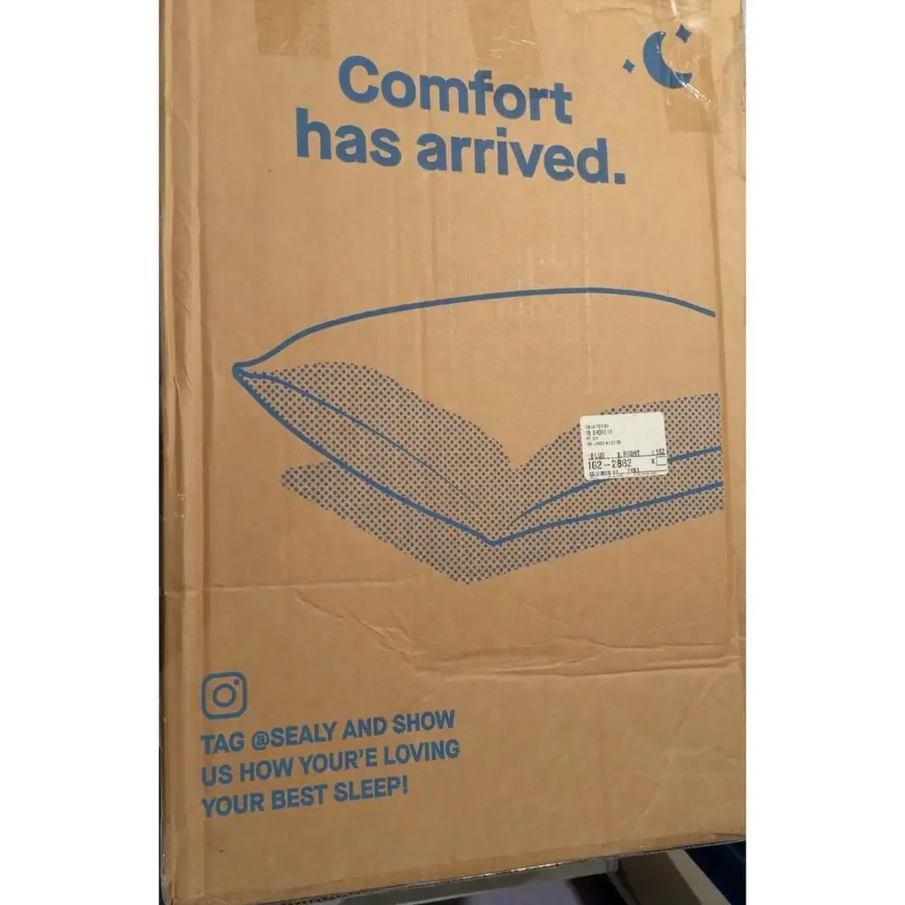 Sealy - Dreamlife Contour Memory Foam Pillow, Standard - White